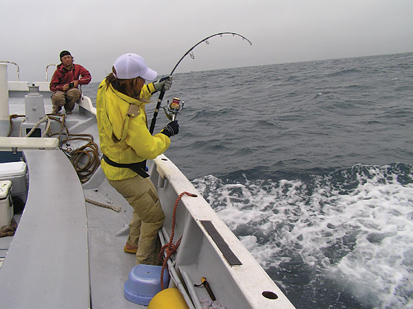 Penn Spinfisher Custom@y@XstBbV[@JX^@݂肵̃y