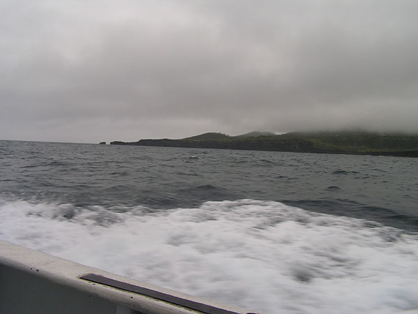 Penn Spinfisher Custom@y@XstBbV[@JX^@݂肵̃y