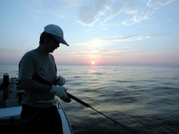 Penn Spinfisher Custom@y@XstBbV[@JX^@݂肵̃y