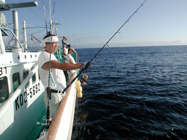 Penn Spinfisher Custom@y@XstBbV[@JX^@݂肵̃y