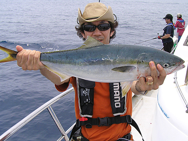 Penn Spinfisher Custom@y@XstBbV[@JX^@݂肵̃y