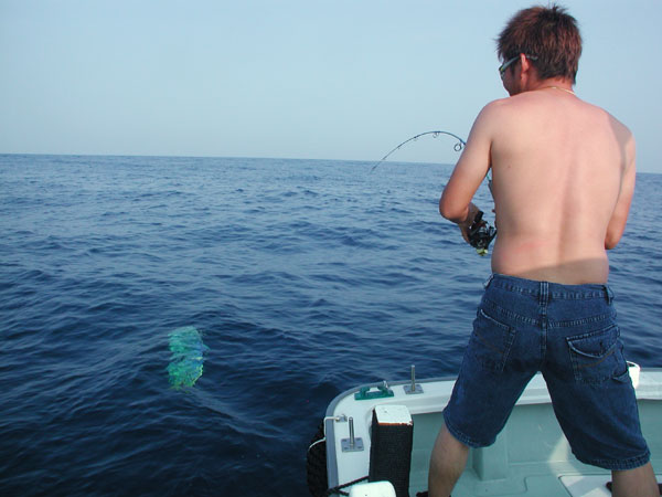 Penn Spinfisher Custom@y@XstBbV[@JX^@݂肵̃y