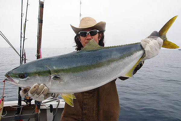 Penn Spinfisher Custom@y@XstBbV[@JX^@݂肵̃y