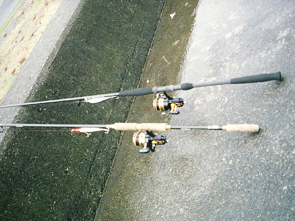 Penn Spinfisher Custom@y@XstBbV[@JX^@݂肵̃y