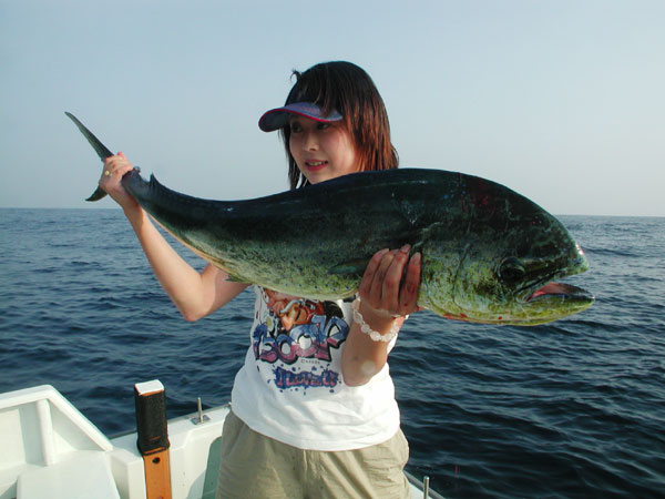 Penn Spinfisher Custom@y@XstBbV[@JX^@݂肵̃y