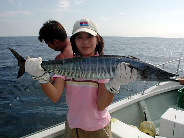 Penn Spinfisher Custom@y@XstBbV[@JX^@݂肵̃y