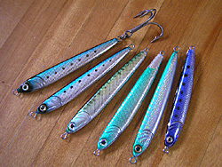 Saltwater Game Favorite b\gEH[^[EA[Q[E}CtFCobgA[@VRWO@UEX