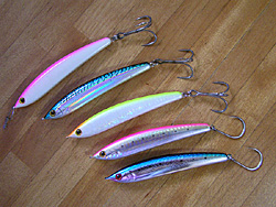 Saltwater Game Favorite b\gEH[^[EA[Q[E}CtFCobgA[@T[W[