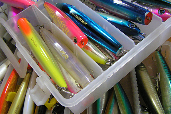 Saltwater Game Favorite b\gEH[^[EA[Q[E}CtFCobgA[