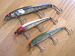 Saltwater Game Favorite b\gEH[^[EA[Q[E}CtFCobgA[OA