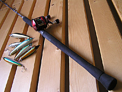 Saltwater Game Favorite b\gEH[^[EA[Q[E}CtFCobgbh