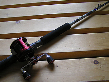 Saltwater Game Favorite b\gEH[^[EA[Q[E}CtFCobgbh