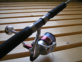 Saltwater Game Favorite b\gEH[^[EA[Q[E}CtFCobgbh