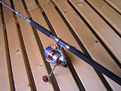 Saltwater Game Favorite b\gEH[^[EA[Q[E}CtFCobgbh