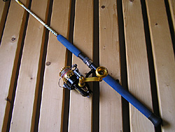 Saltwater Game Favorite b\gEH[^[EA[Q[E}CtFCobgbh