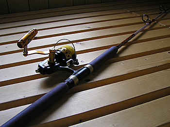 Saltwater Game Favorite b\gEH[^[EA[Q[E}CtFCobgbh