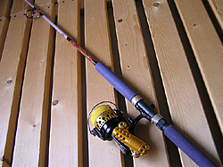 Saltwater Game Favorite b\gEH[^[EA[Q[E}CtFCobgbh