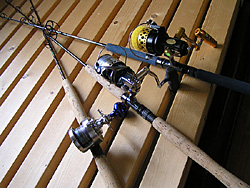 Saltwater Game Favorite b\gEH[^[EA[Q[E}CtFCobgbh