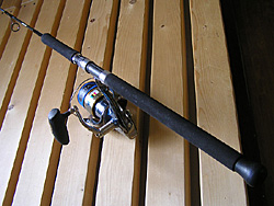 Saltwater Game Favorite b\gEH[^[EA[Q[E}CtFCobgbh