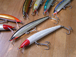 Saltwater Game Favorite b\gEH[^[EA[Q[E}CtFCobgA[@\eB[uEj[