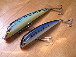 Saltwater Game Favorite b\gEH[^[EA[Q[E}CtFCobgA[@bvX~m[@u[I[V