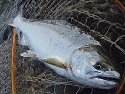 ǐ@TcL}X@iK}X@ǃ}Xǃ}X@A[@ȂƂ炤